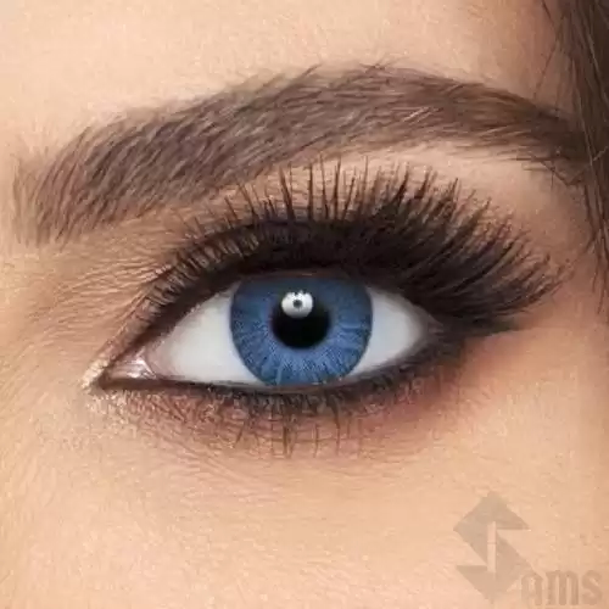 Freshlook Contact lens BrillantBlue.webp